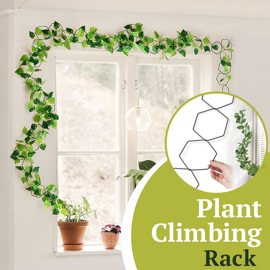 Plant Climbing Rack