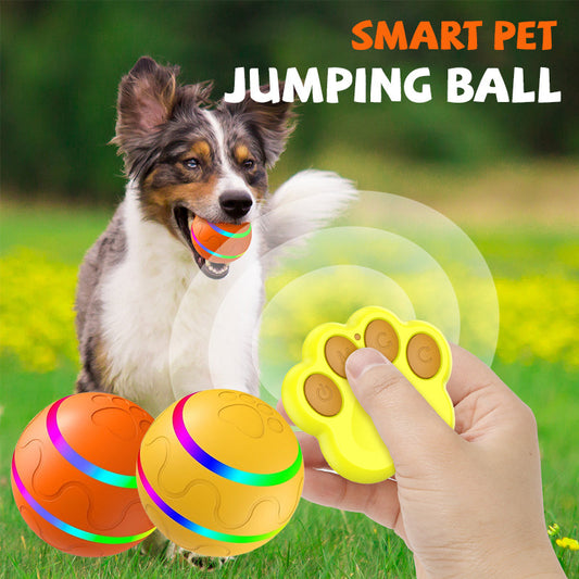 Smart Pet Jumping Ball