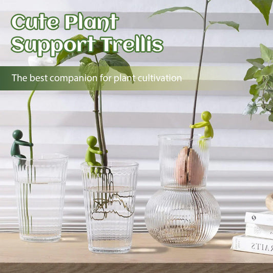 Cute Plant Support Trellis