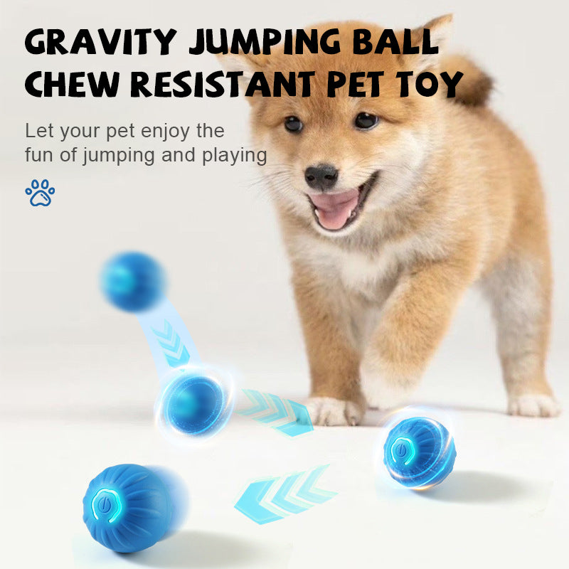 Gravity Jumping Ball Chew-Resistant Pet Toy