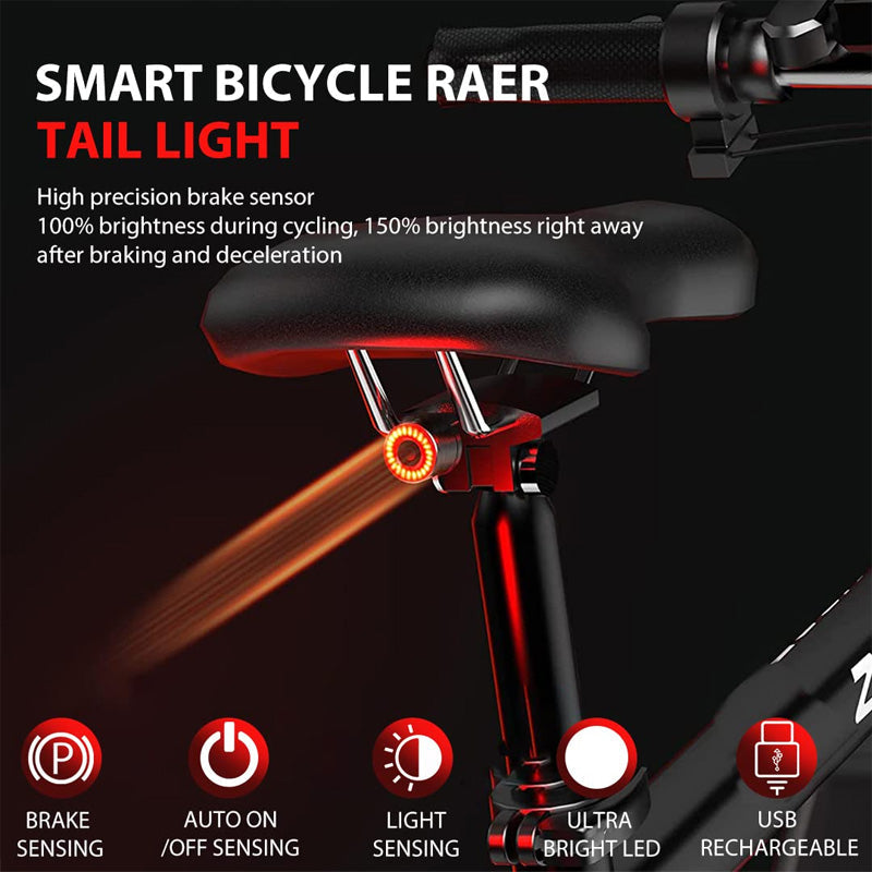 Bicycle Sensor Tail Light