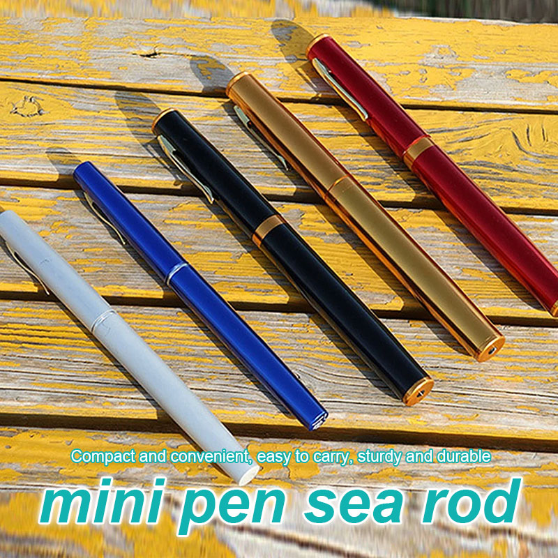 Pen Fishing Rod