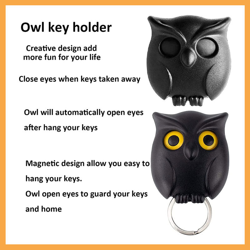 Entrance Owl Keychain Organizer