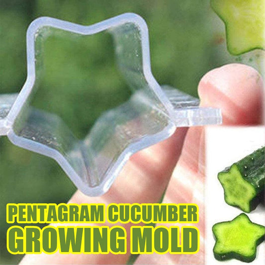 ❤️Love Shape Cucumber Growing Mold
