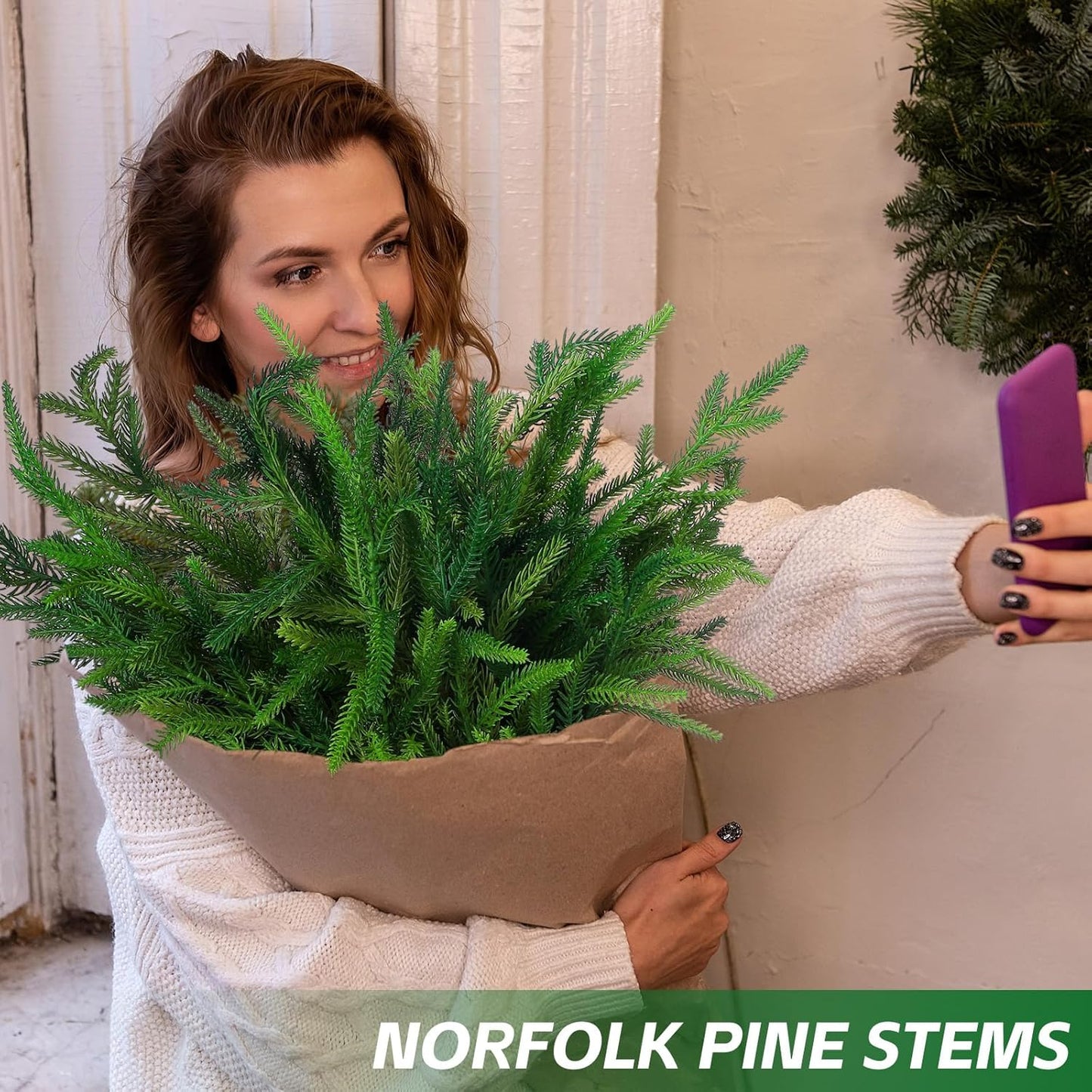 🎄Norfolk Pine Branch